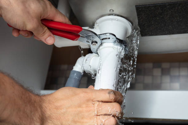 Best Flood restoration services  in Horace, ND