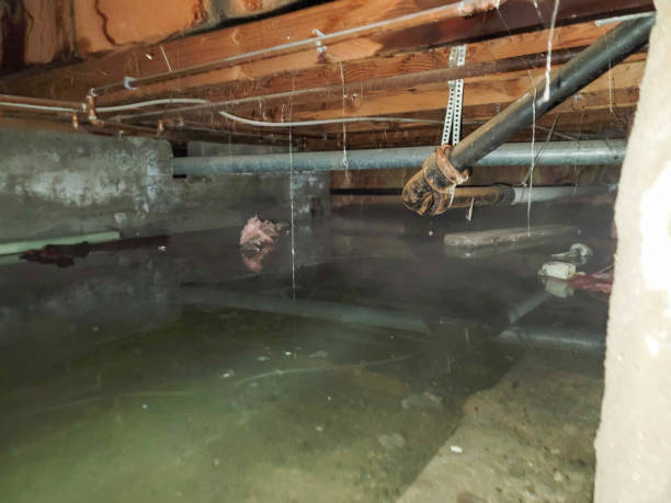 Sewage cleanup and water damage restoration in ND