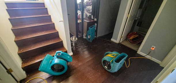  Horace, ND Water damage restoration Pros
