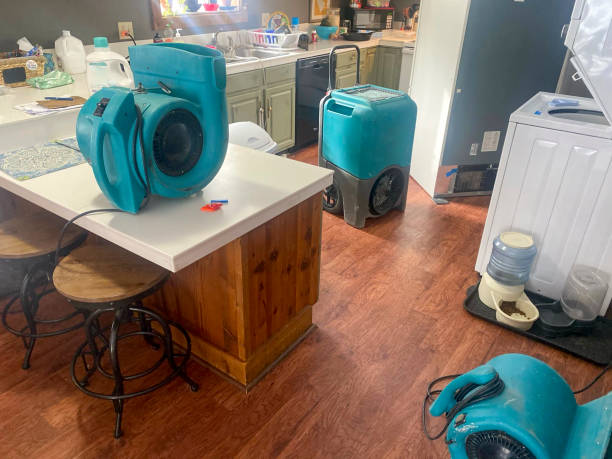 Best Basement water damage restoration  in Horace, ND