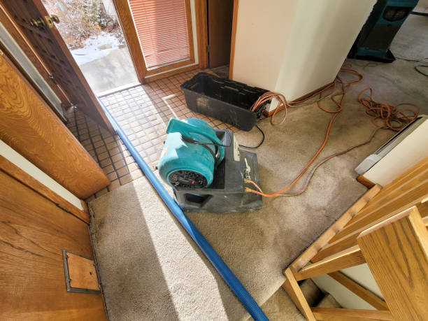 Best Fire Damage Restoration  in Horace, ND