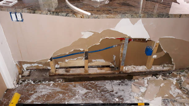 Best Flood damage cleanup  in Horace, ND
