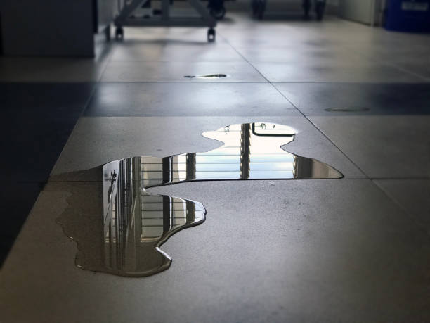 Best 24/7 water damage repair  in Horace, ND