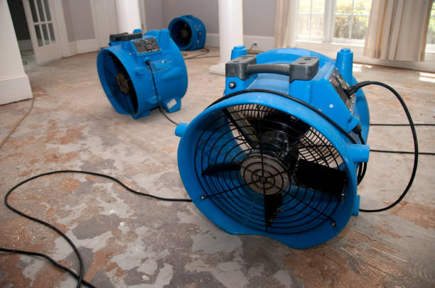 Best Local water damage restoration  in Horace, ND