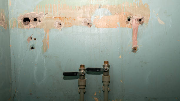 Best Residential water damage restoration  in Horace, ND