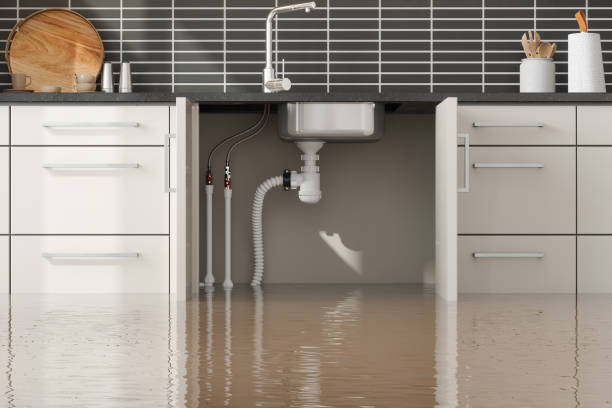 Carpet water damage restoration in ND