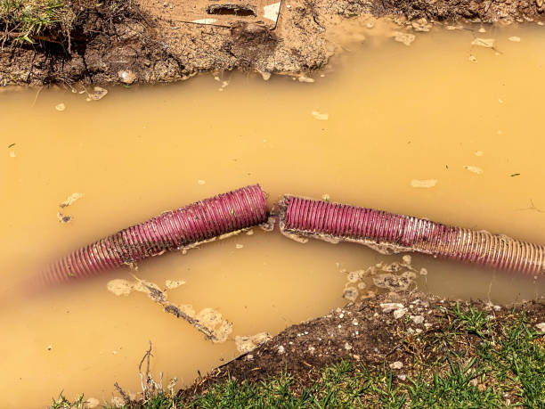 Best Professional water damage repair  in Horace, ND